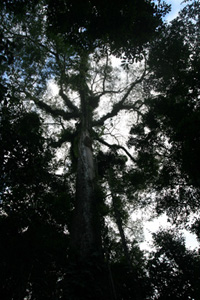 r1.jpg